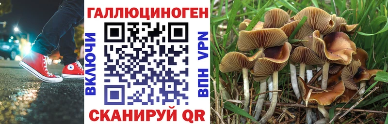 Псилоцибиновые грибы Psilocybe  Данков 